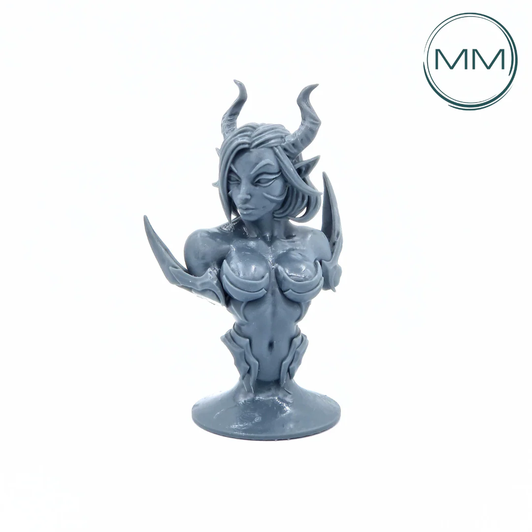 Miniatuur 1