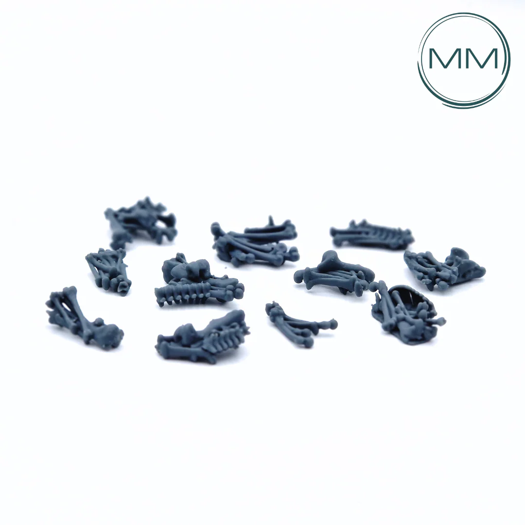 Miniatuur 2