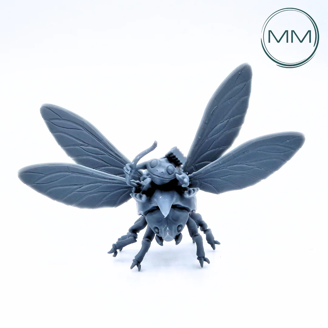 Miniatuur 2