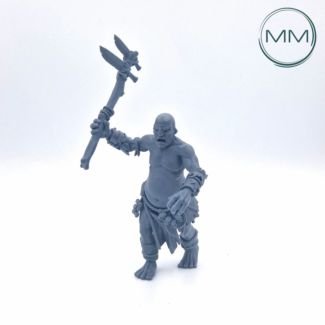 Miniatuur 1