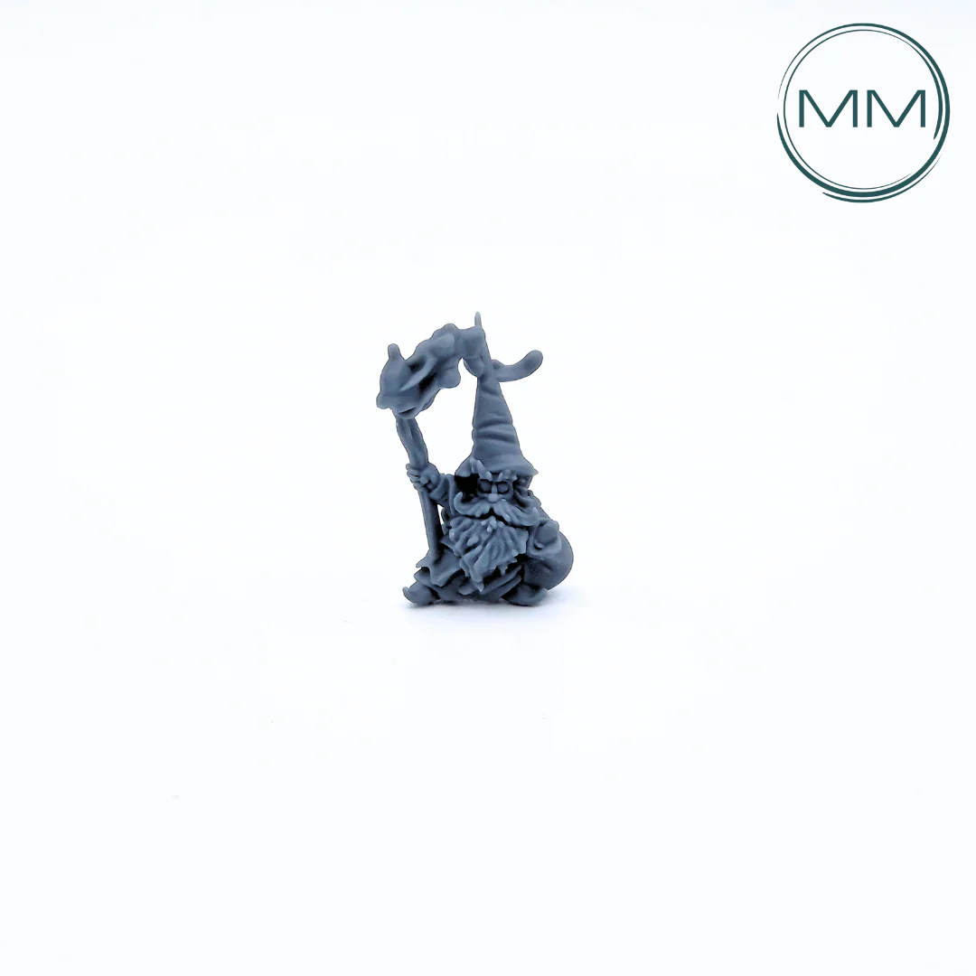 Miniatuur 1