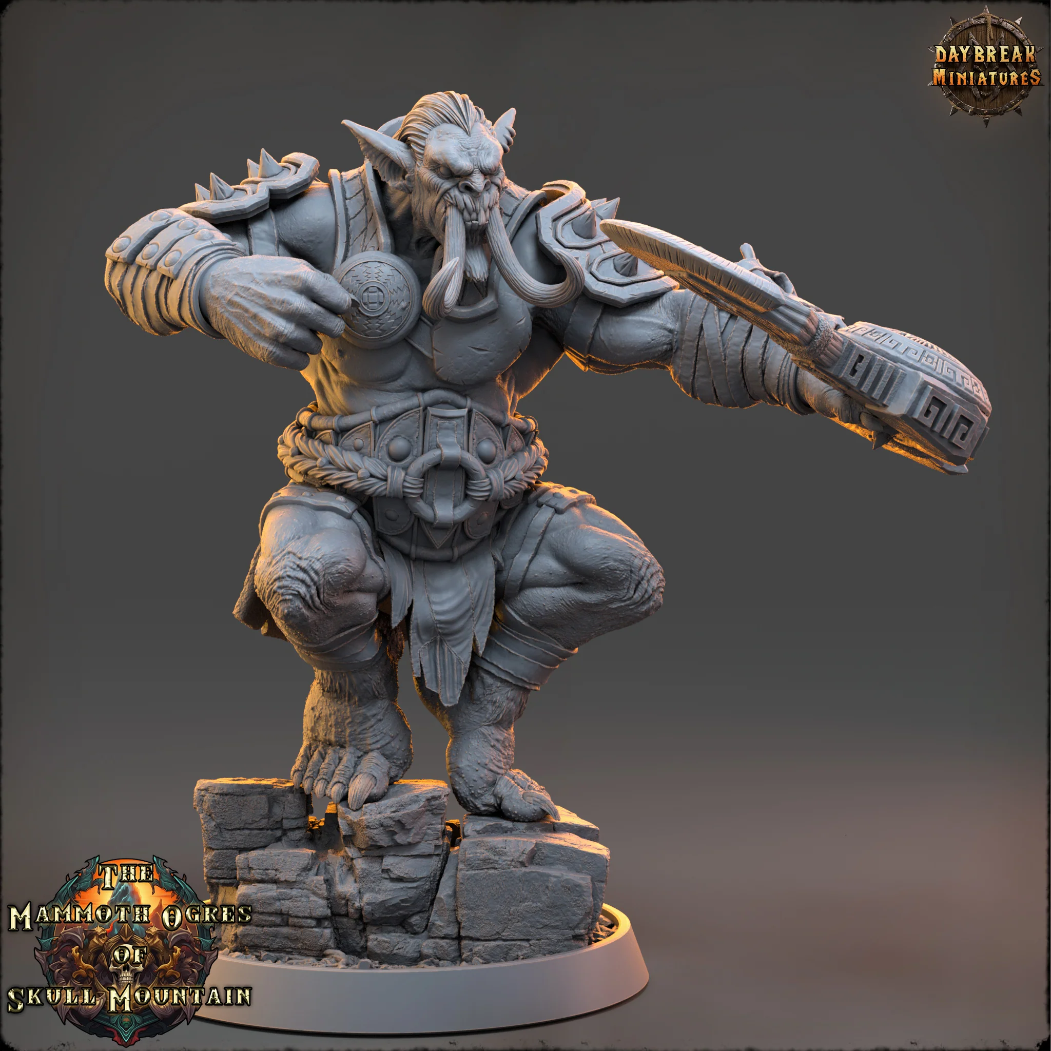 Miniatuur 1