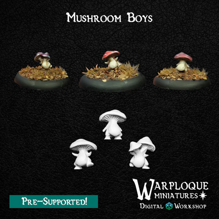 Miniatuur 2
