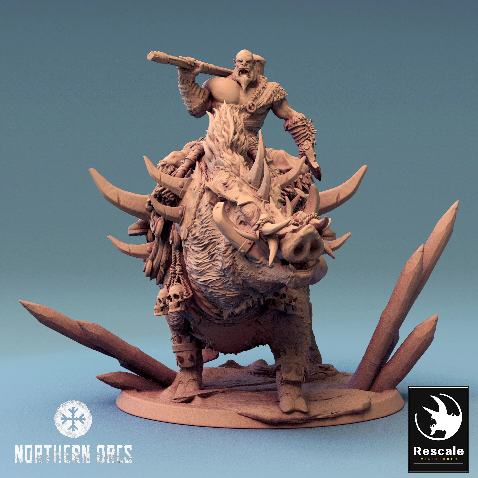 Miniatuur 1