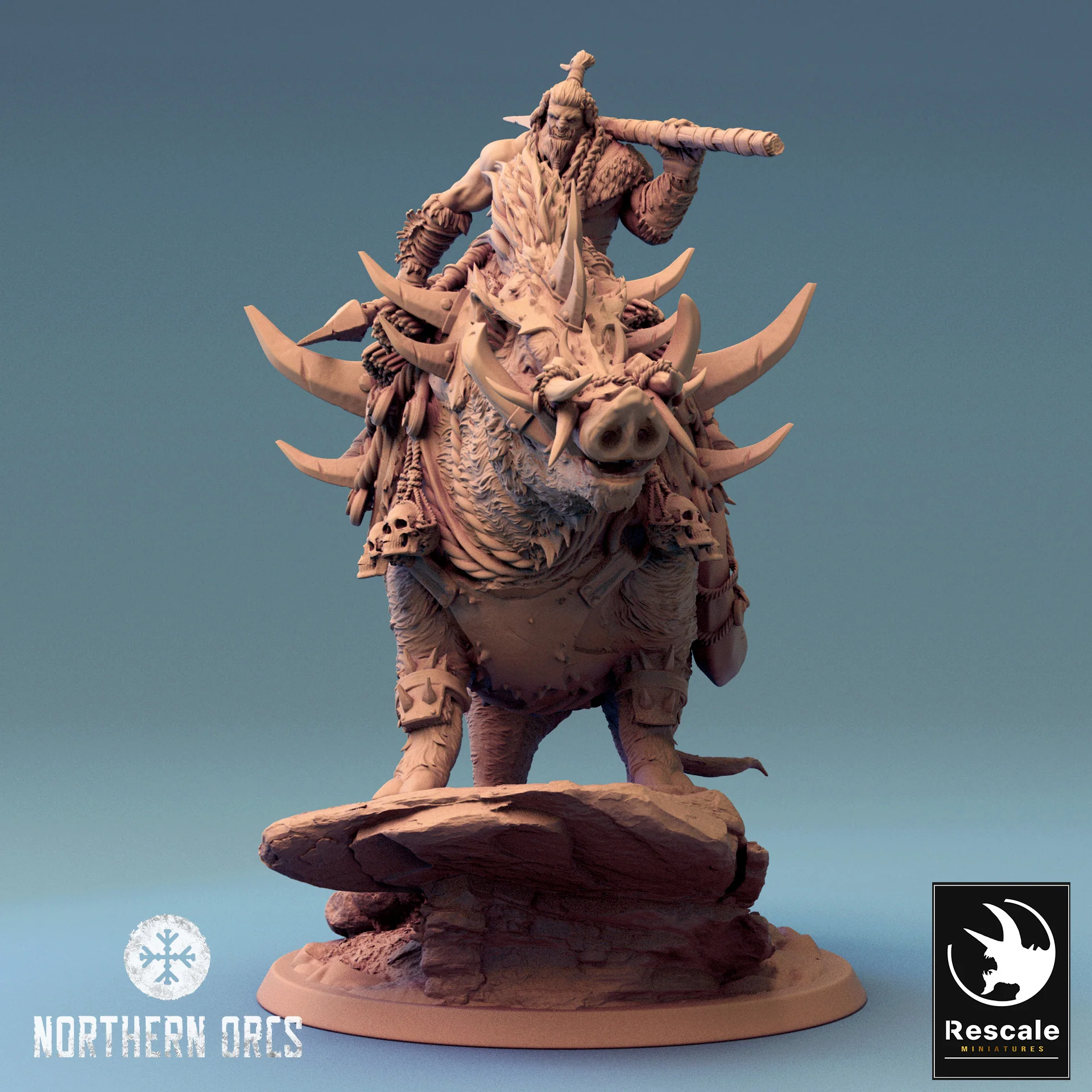Miniatuur 1