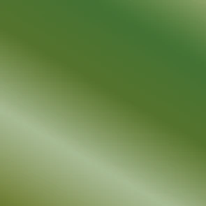 Productafbeelding 3