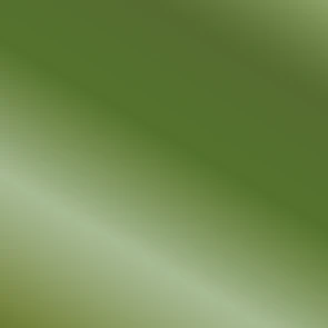 Productafbeelding 3