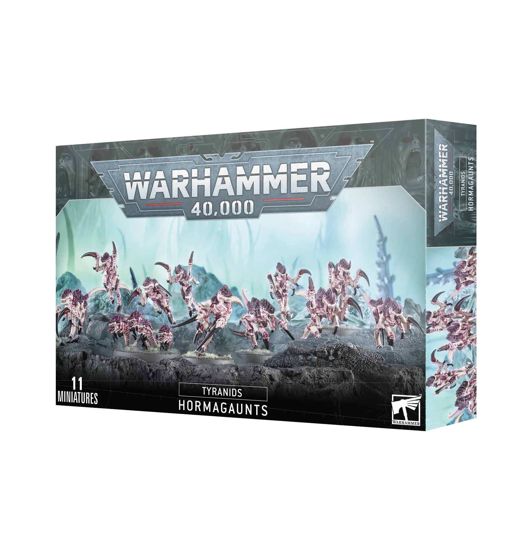 Miniatuur 1
