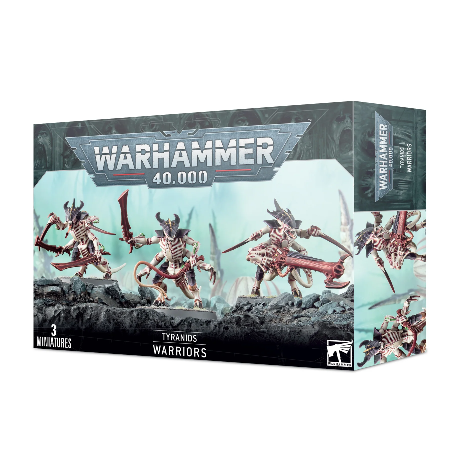 Miniatuur 1